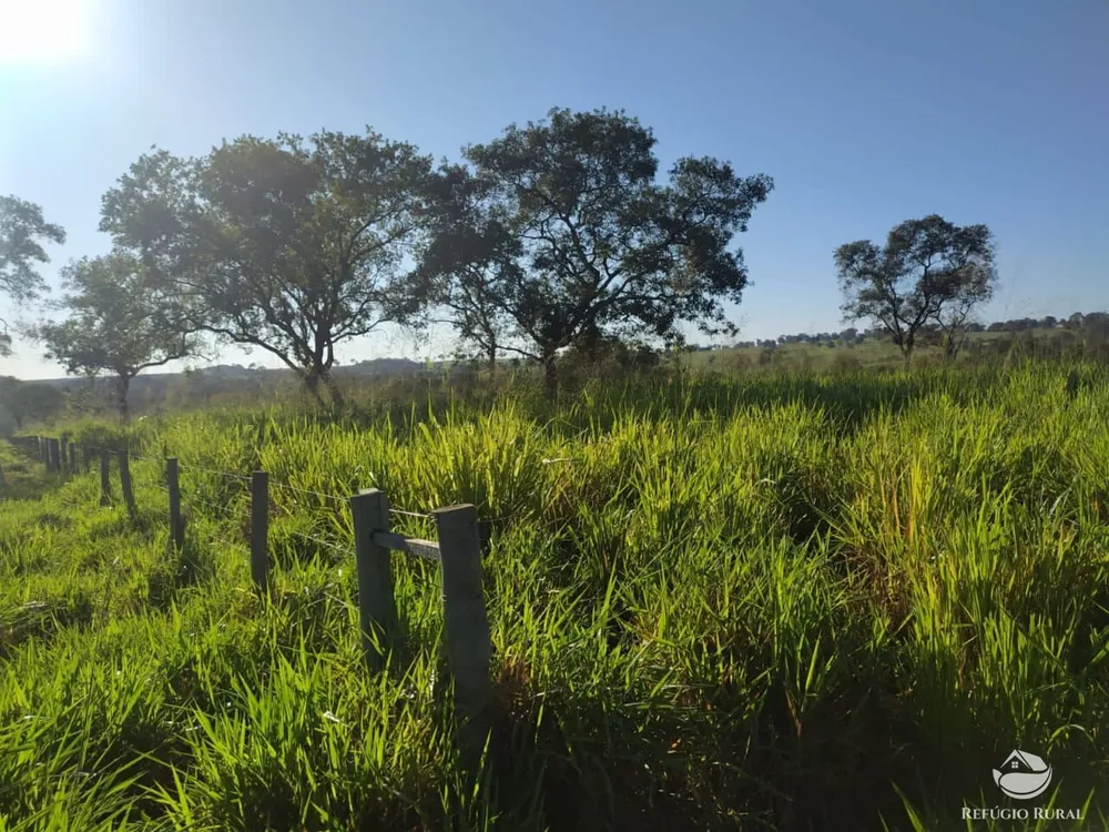 Fazenda, 2508 hectares - Foto 4