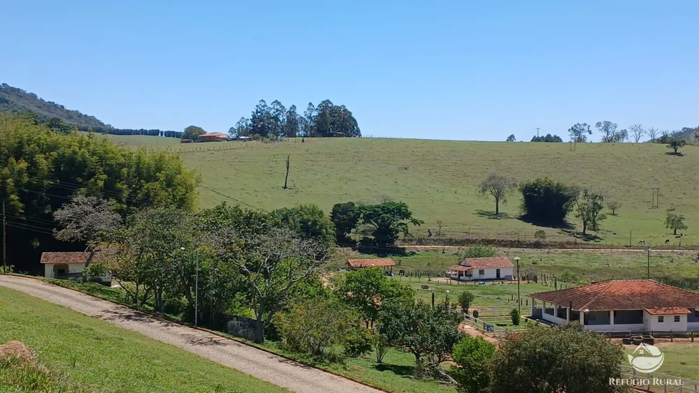 Terreno, 8 hectares - Foto 12