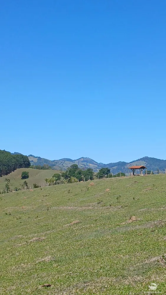 Terreno, 8 hectares - Foto 11