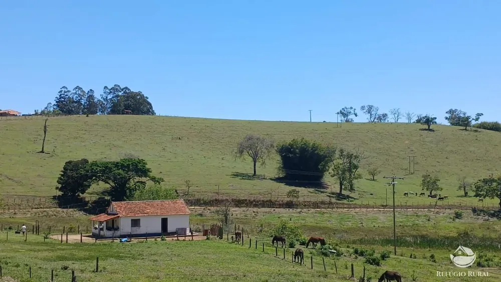 Terreno, 8 hectares - Foto 6