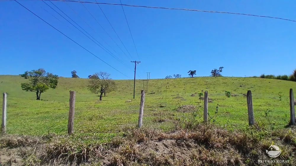 Terreno, 8 hectares - Foto 8