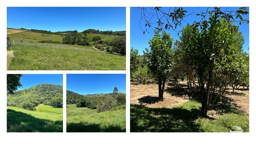 Sítio, 12 hectares - Foto 6