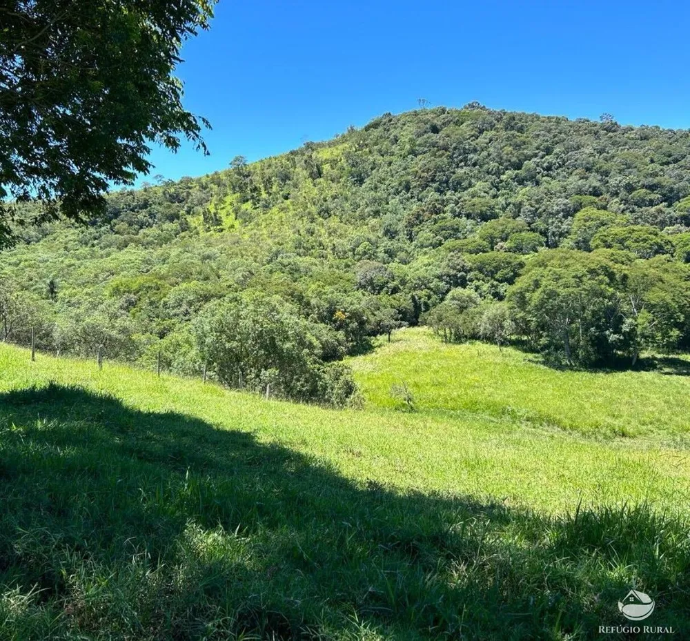Sítio, 12 hectares - Foto 4