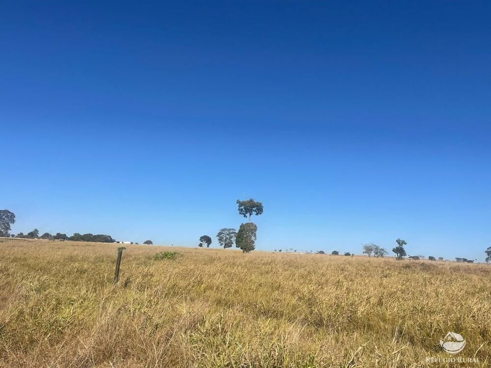Fazenda, 4003 hectares - Foto 4