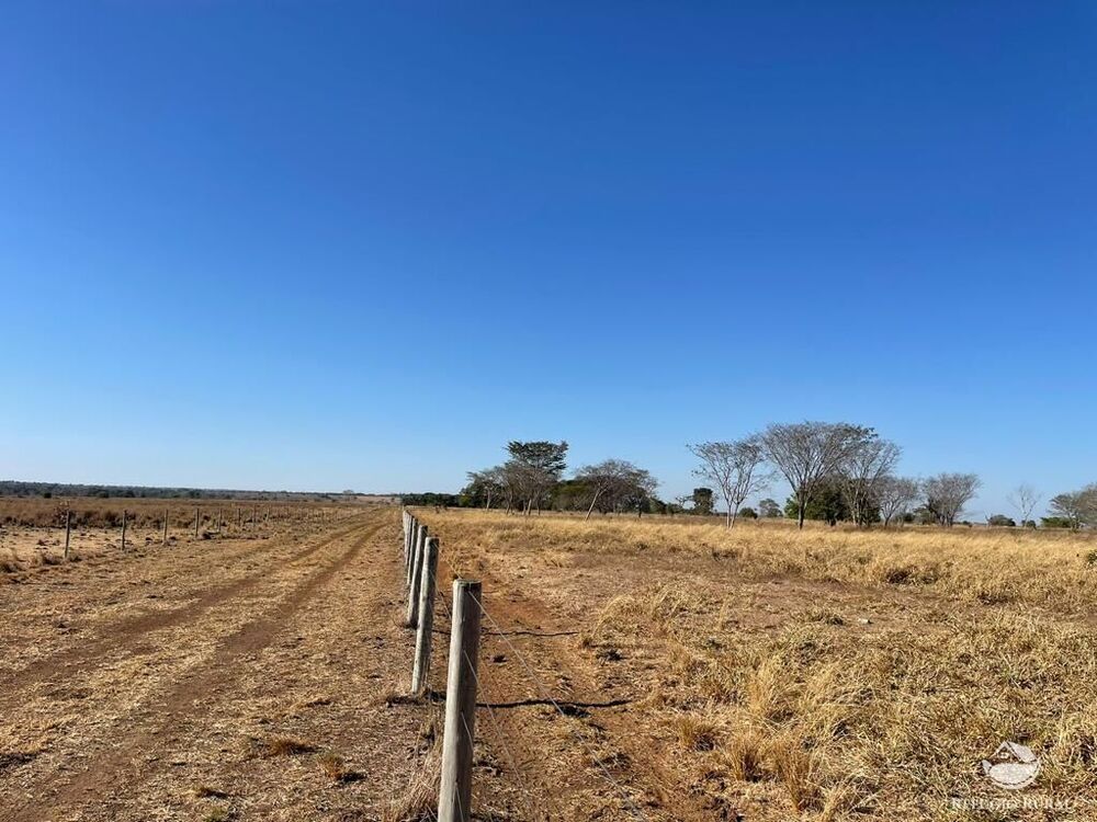 Fazenda, 4003 hectares - Foto 6