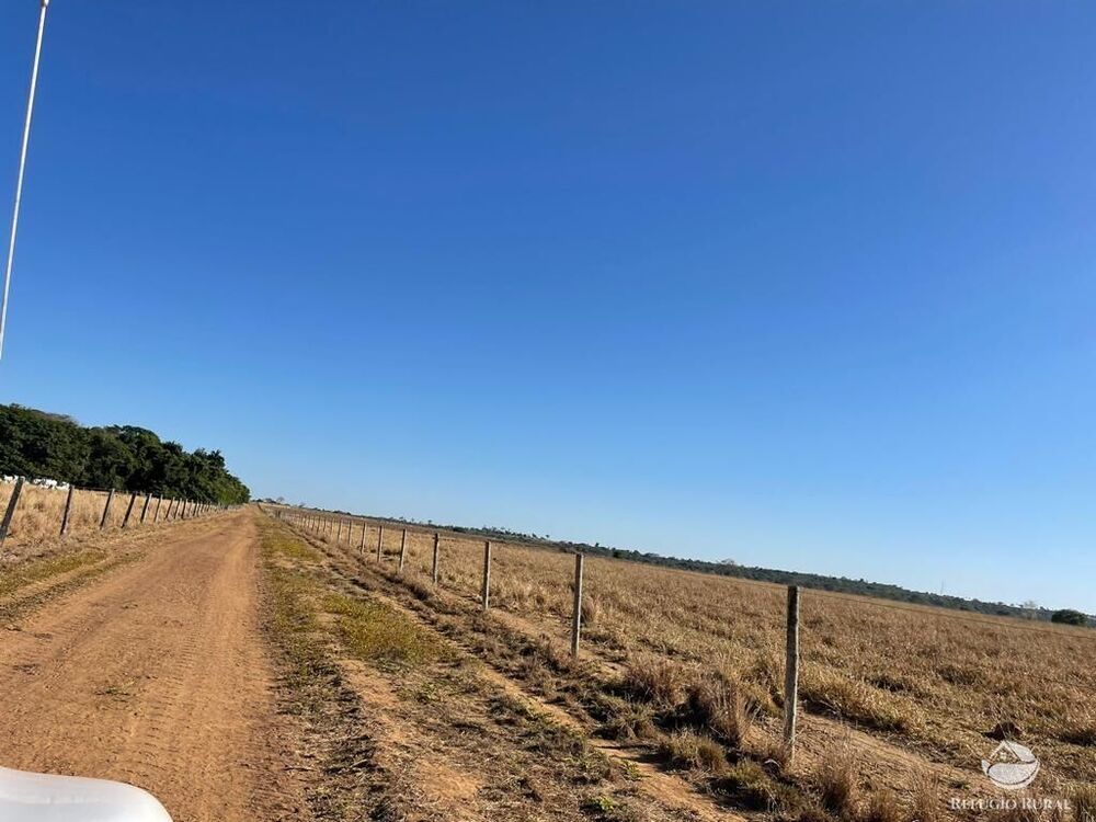 Fazenda, 4003 hectares - Foto 7