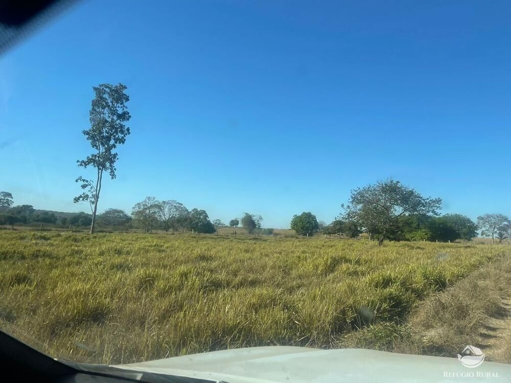 Fazenda, 4003 hectares - Foto 3