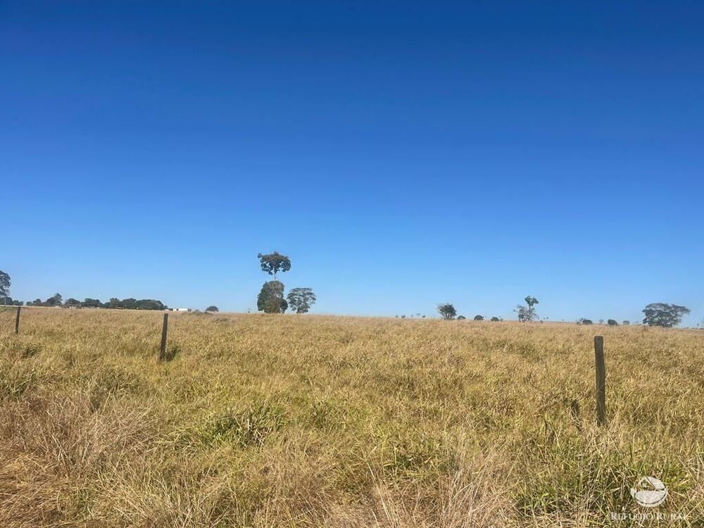 Fazenda, 4003 hectares - Foto 2