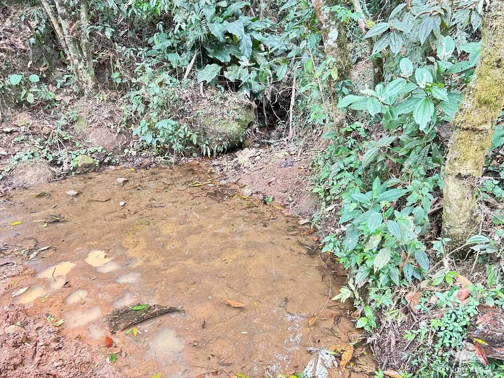 Terreno, 6 hectares - Foto 6
