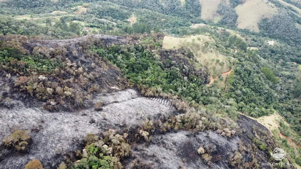 Terreno, 6 hectares - Foto 8
