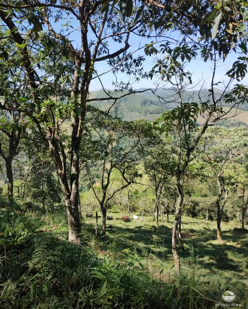 Terreno, 6 hectares - Foto 1