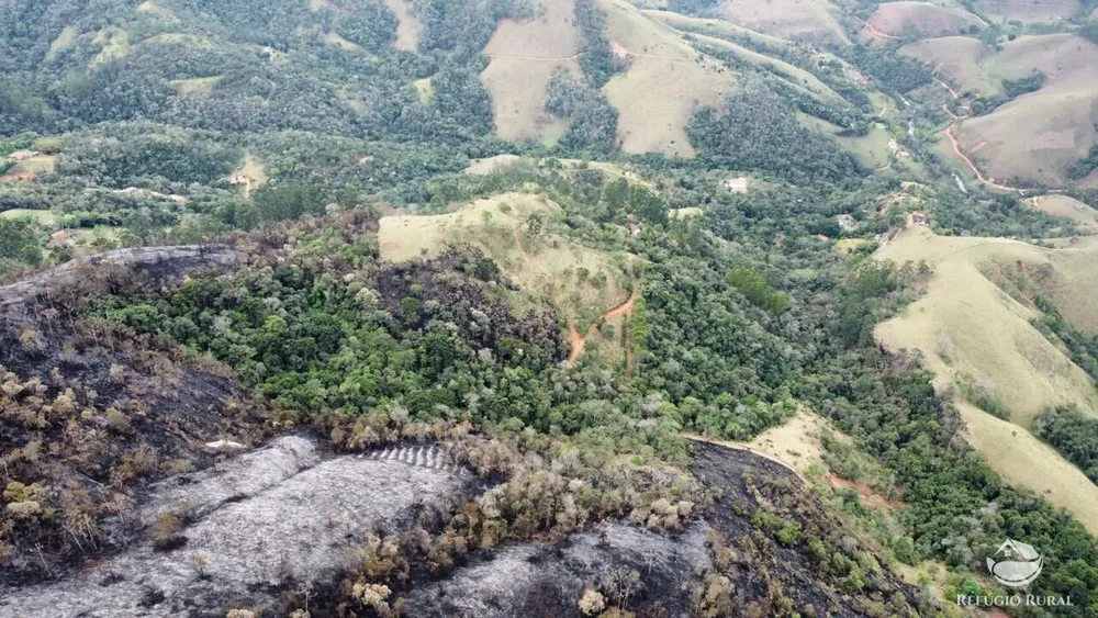 Terreno, 6 hectares - Foto 4