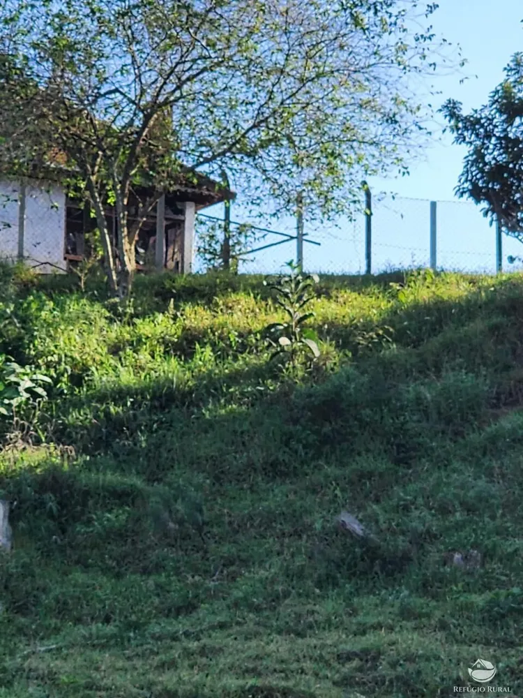 Fazenda, 266 hectares - Foto 7