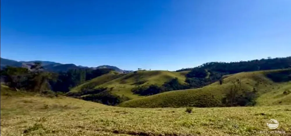 Fazenda, 266 hectares - Foto 3