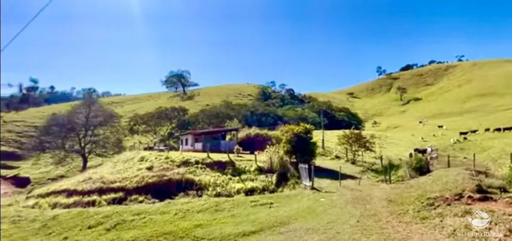 Fazenda, 266 hectares - Foto 5