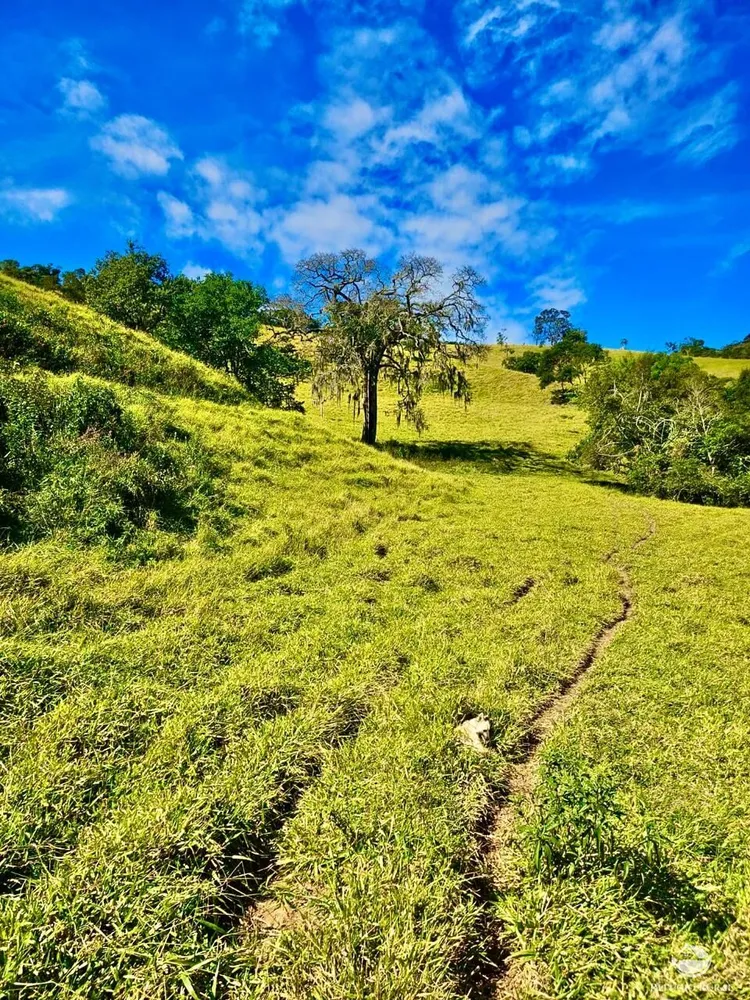Fazenda, 266 hectares - Foto 9