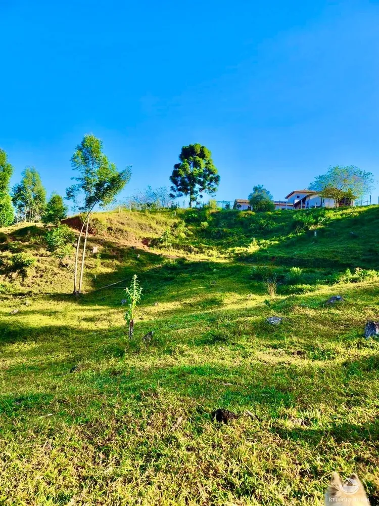 Fazenda, 266 hectares - Foto 12