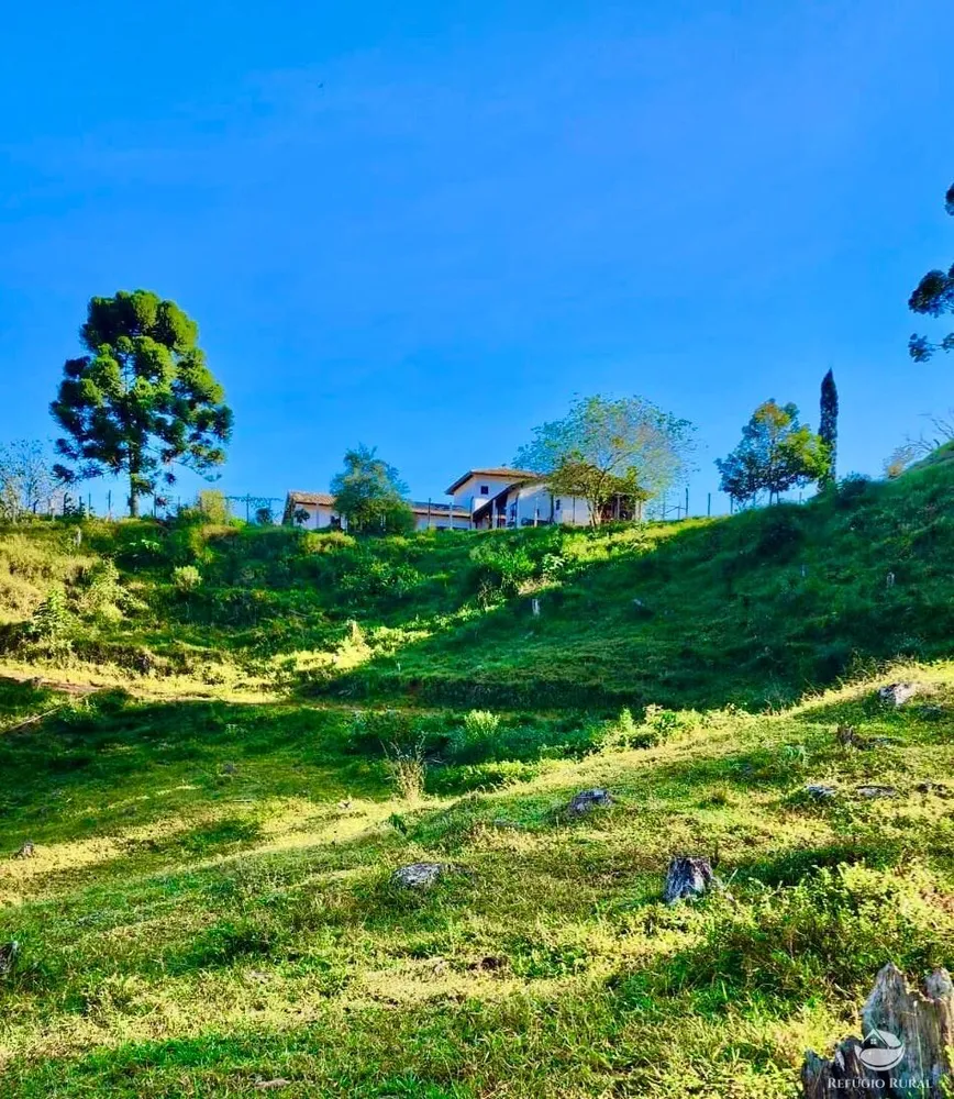 Fazenda, 266 hectares - Foto 1