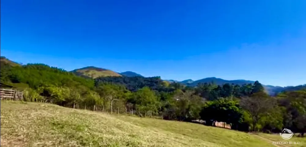 Fazenda, 266 hectares - Foto 6