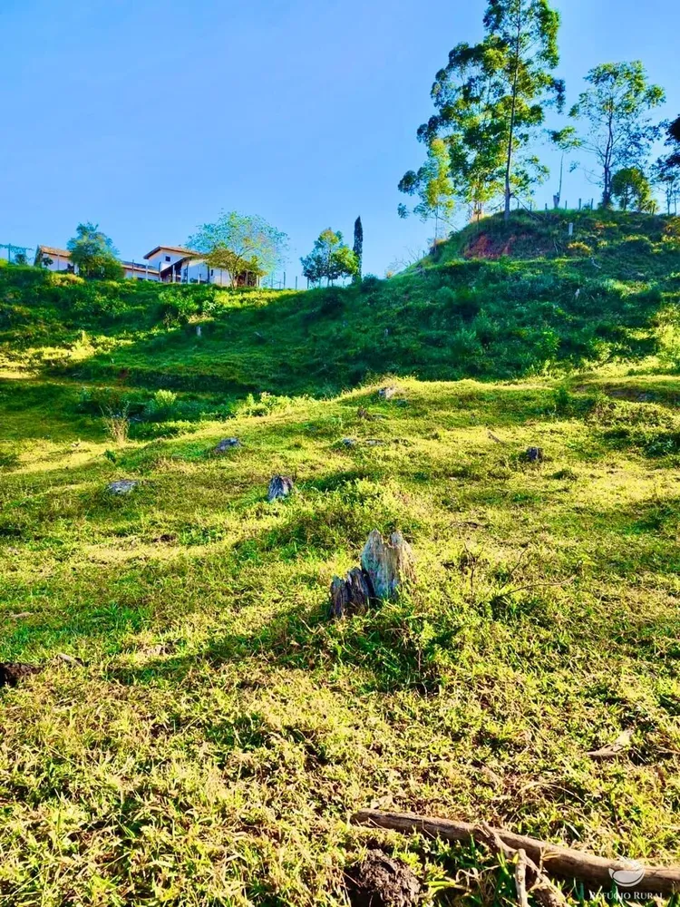Fazenda, 266 hectares - Foto 11
