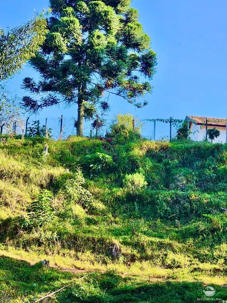 Fazenda, 266 hectares - Foto 15
