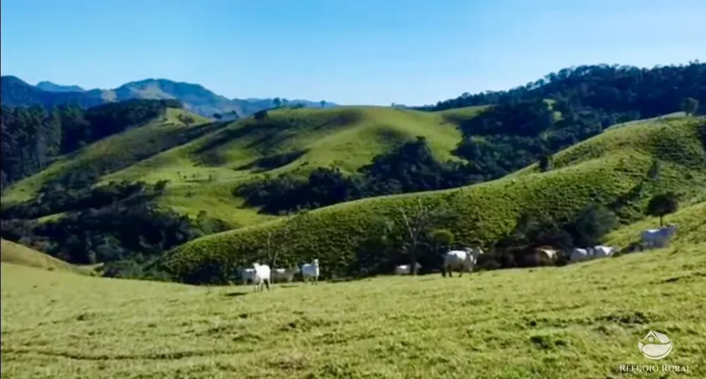 Fazenda, 266 hectares - Foto 2