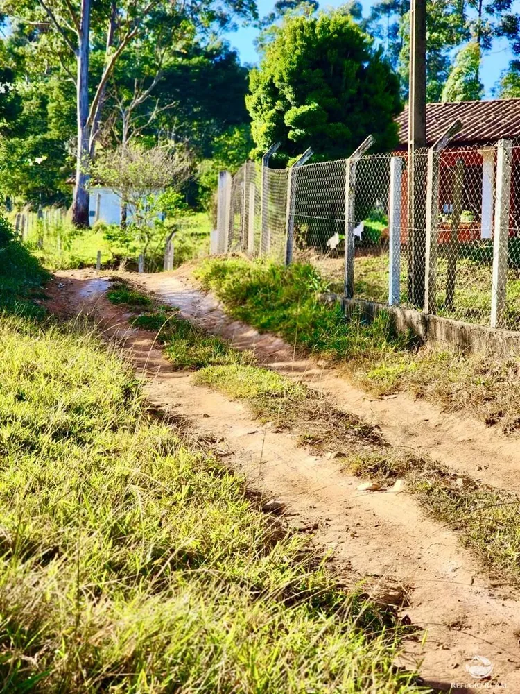 Fazenda, 266 hectares - Foto 16
