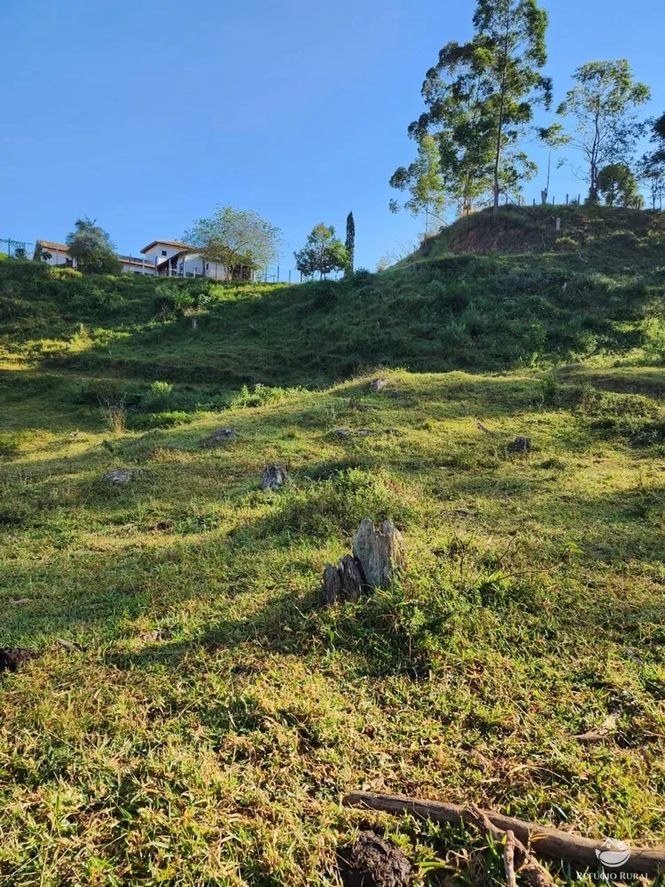 Fazenda, 266 hectares - Foto 8