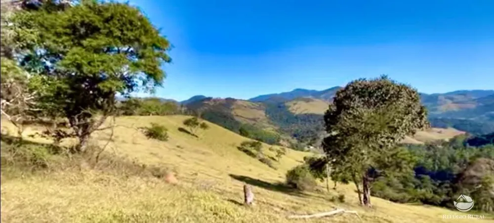 Fazenda, 266 hectares - Foto 4