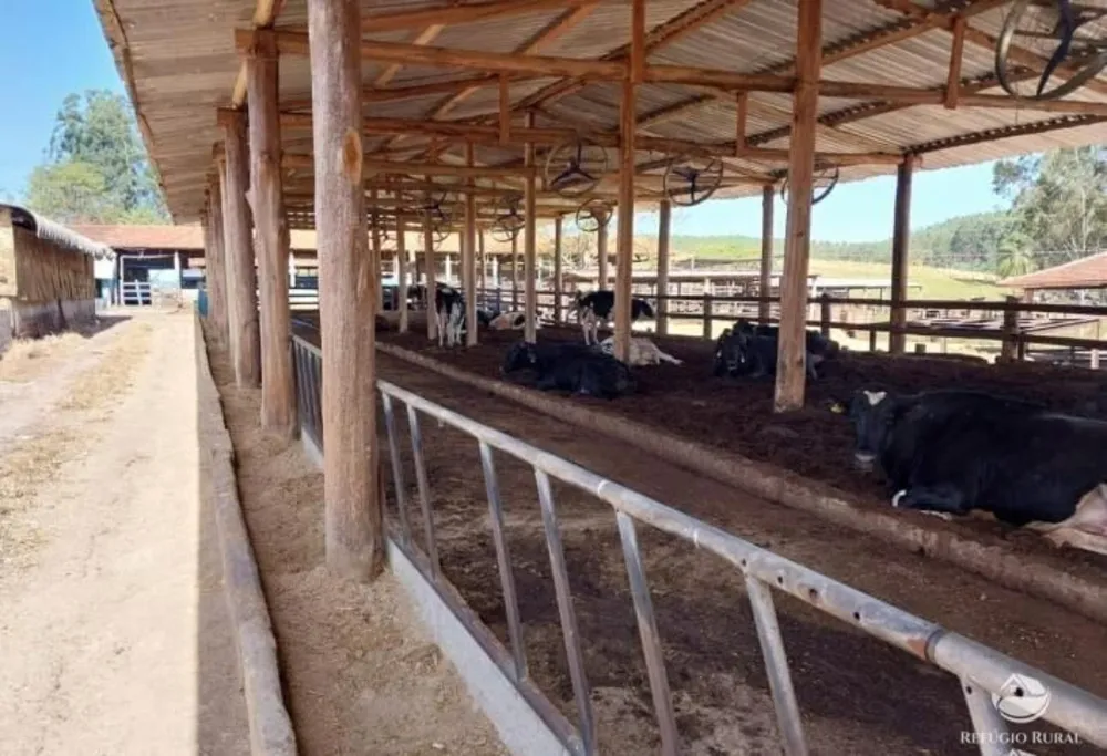 Fazenda, 2662 hectares - Foto 3