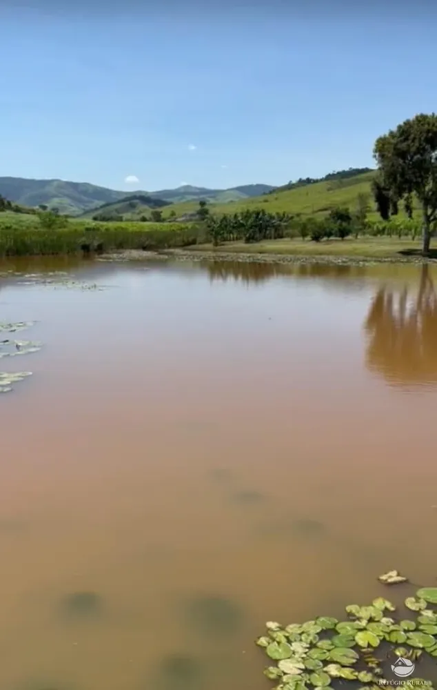 Fazenda, 2662 hectares - Foto 7