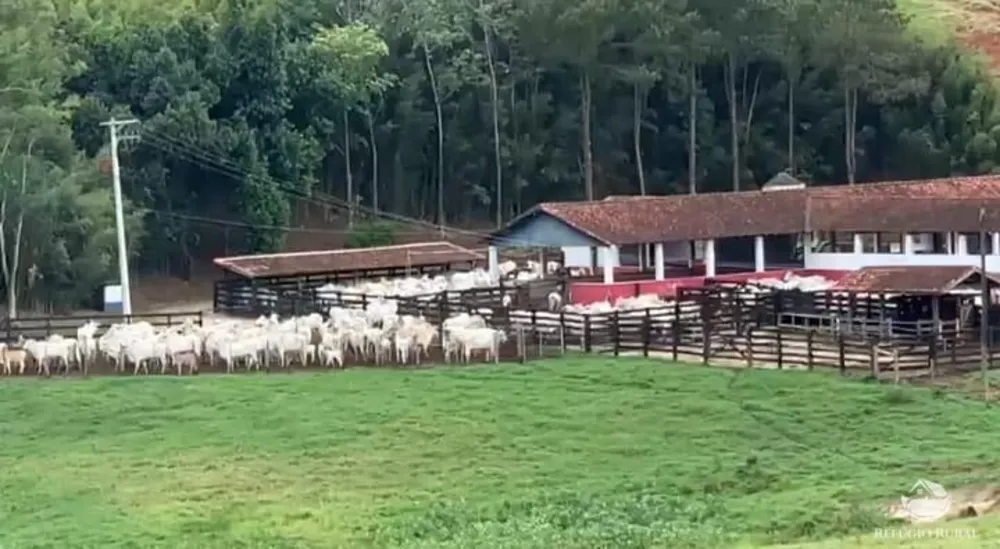 Fazenda, 2662 hectares - Foto 15