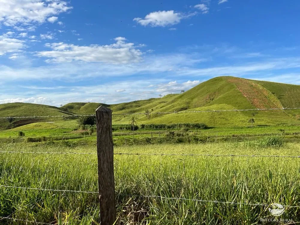 Fazenda, 2662 hectares - Foto 12