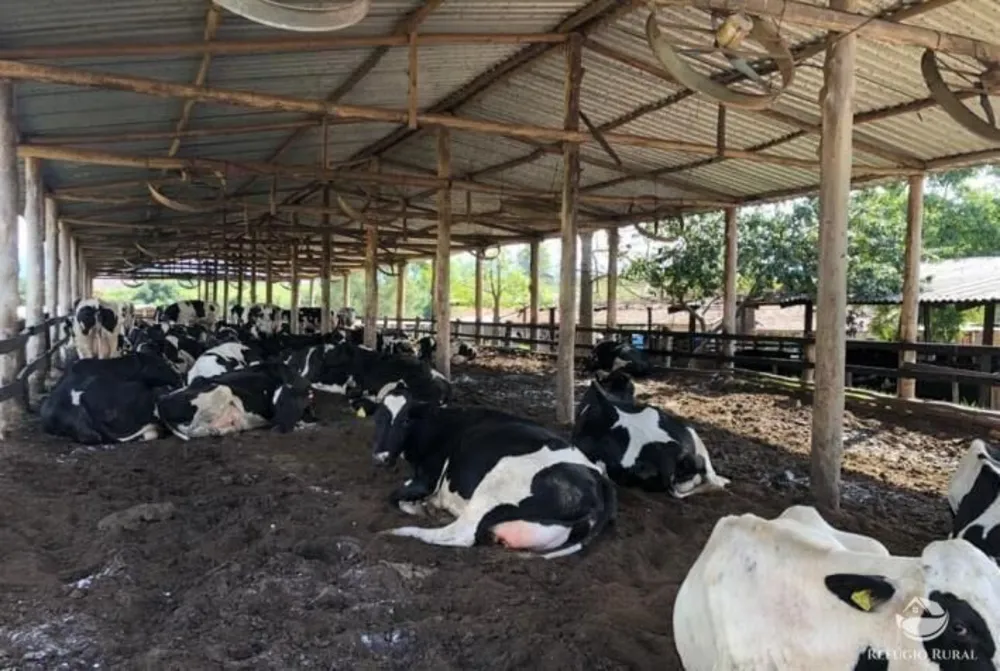 Fazenda, 2662 hectares - Foto 1
