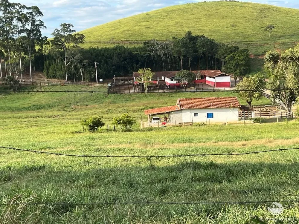 Fazenda, 2662 hectares - Foto 6