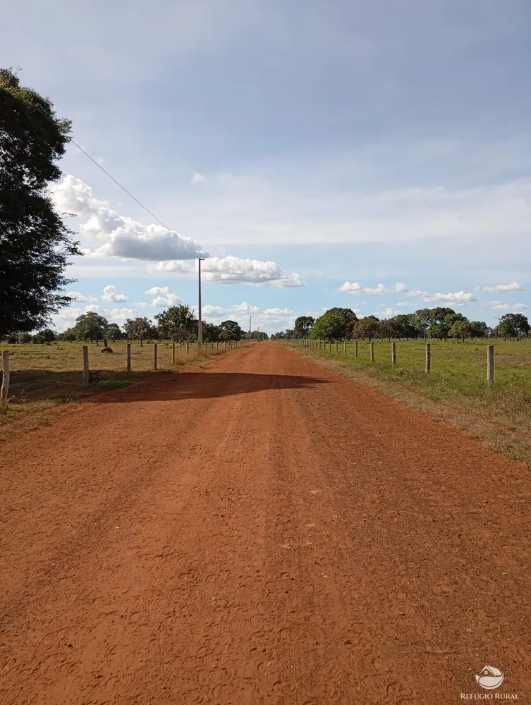 Fazenda, 3911 hectares - Foto 10