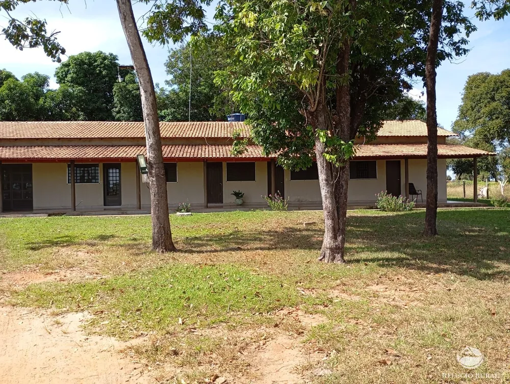Fazenda, 3911 hectares - Foto 3