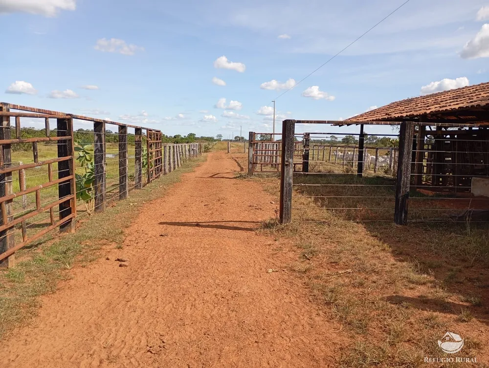 Fazenda, 3911 hectares - Foto 11