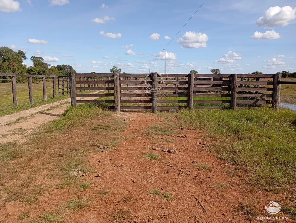 Fazenda, 3911 hectares - Foto 9