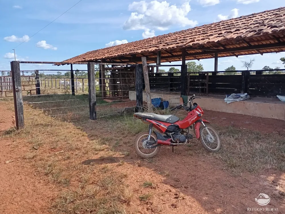 Fazenda, 3911 hectares - Foto 12