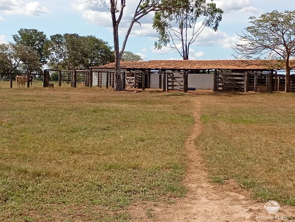 Fazenda, 3911 hectares - Foto 7