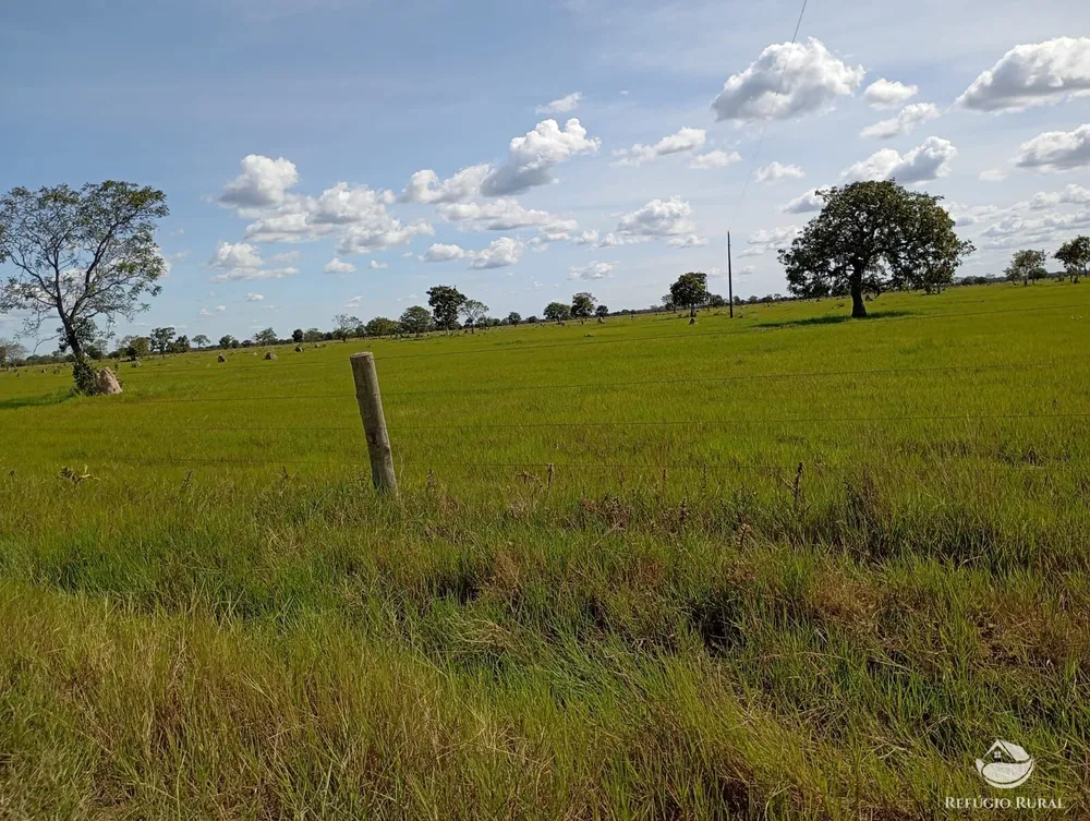 Fazenda, 3911 hectares - Foto 2