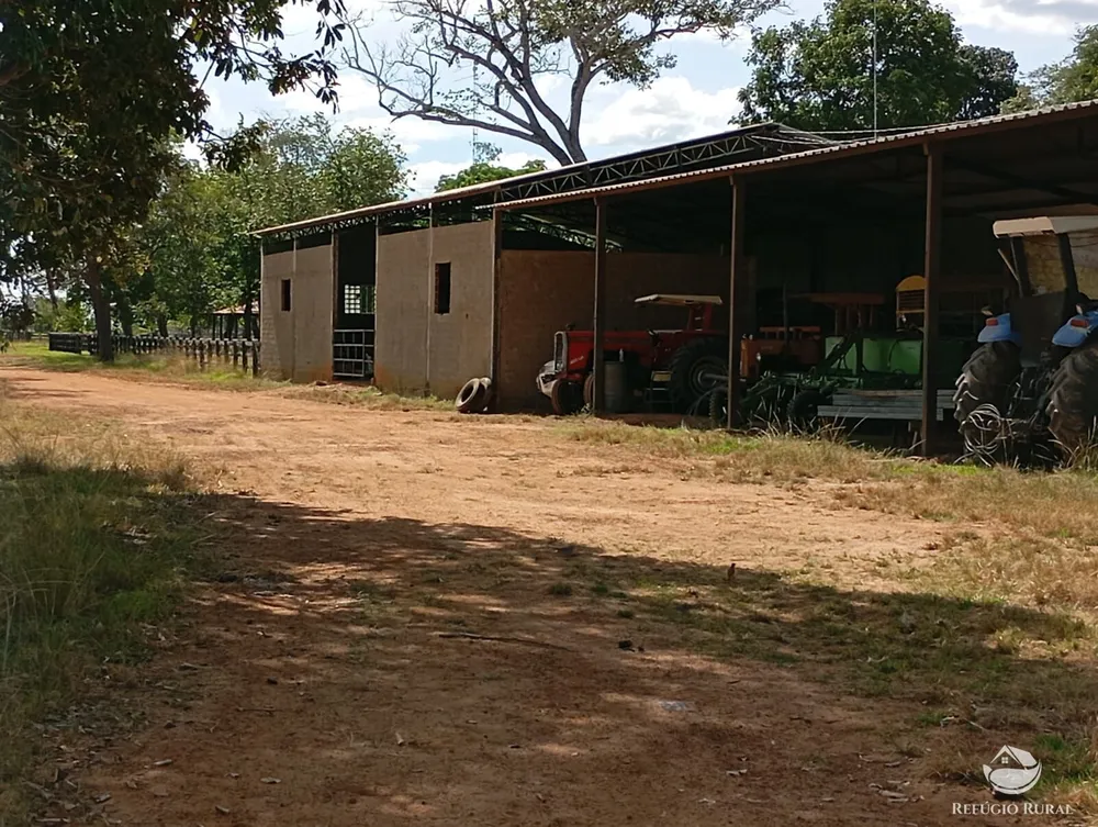Fazenda, 3911 hectares - Foto 4