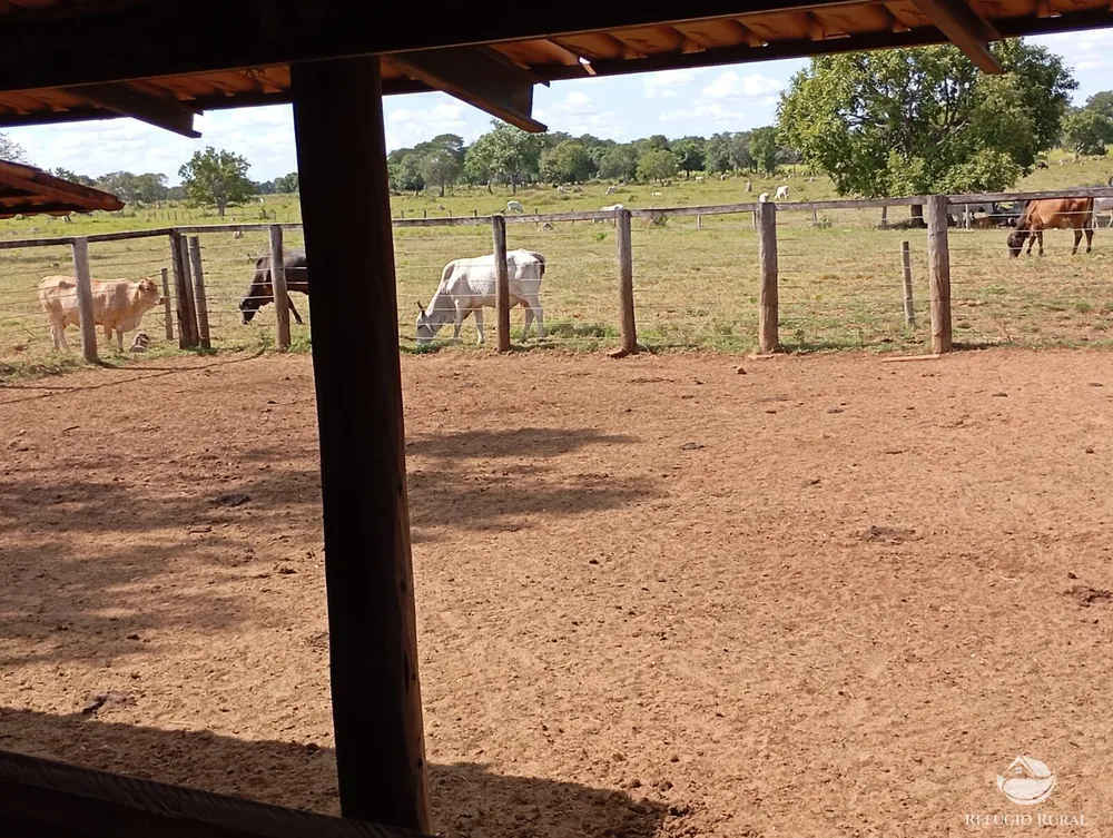 Fazenda, 3911 hectares - Foto 6