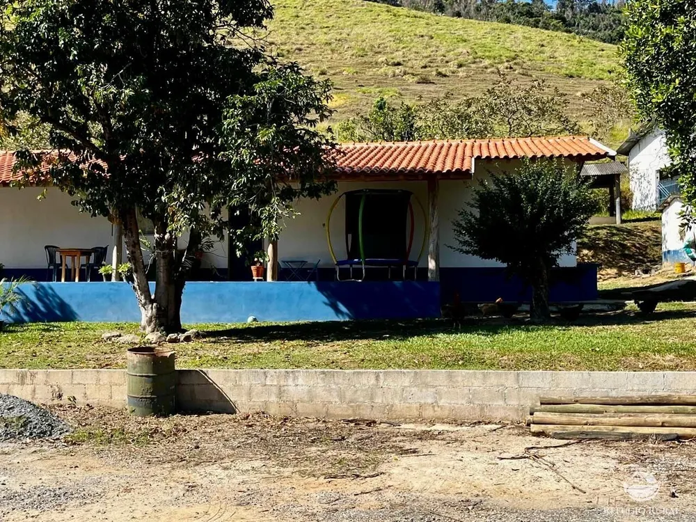 Fazenda, 1186 hectares - Foto 4