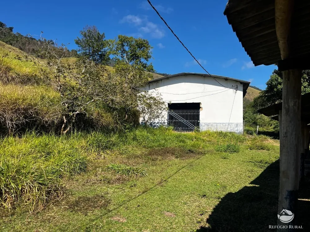 Fazenda, 1186 hectares - Foto 14