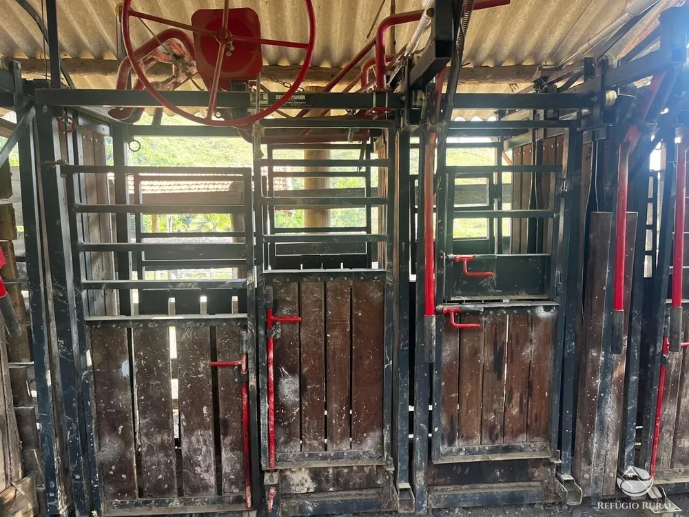 Fazenda, 1186 hectares - Foto 8