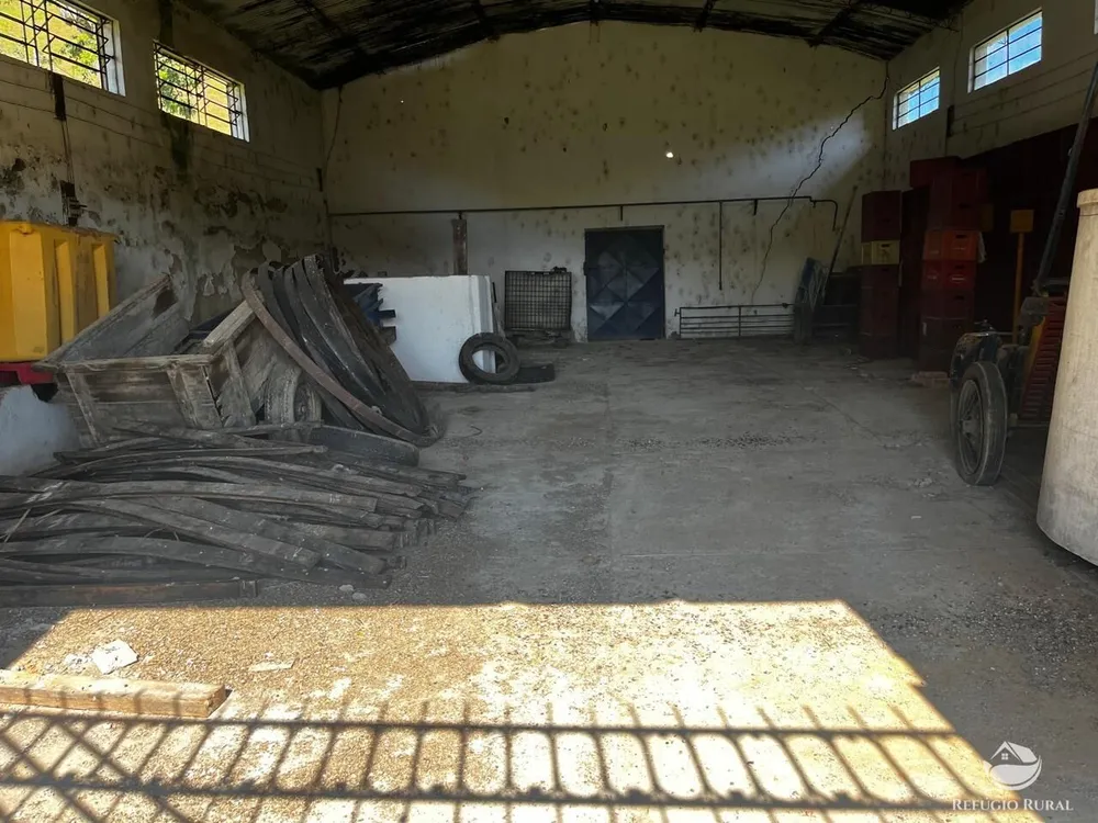 Fazenda, 1186 hectares - Foto 15