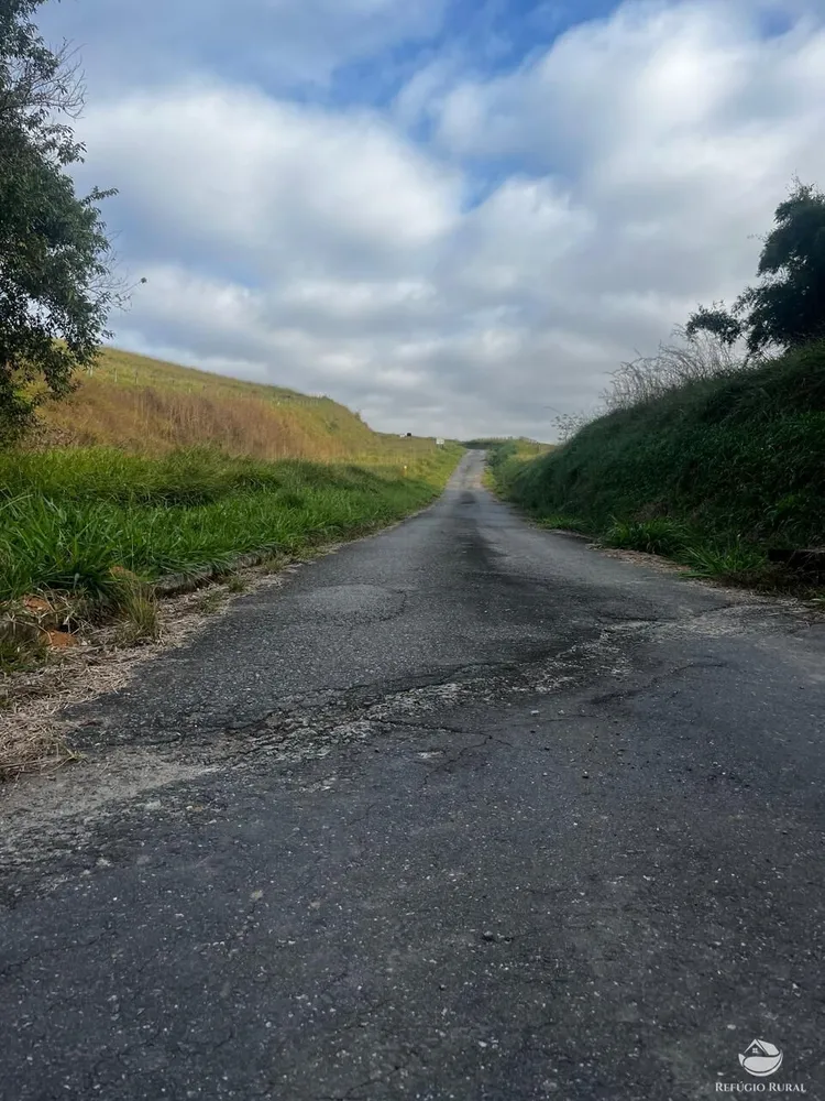 Fazenda, 1186 hectares - Foto 7