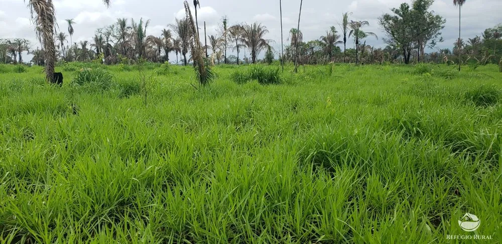 Fazenda, 5624 hectares - Foto 7